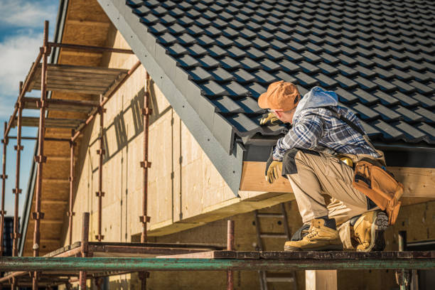 Best Gutter Installation and Roofing  in Colquitt, GA